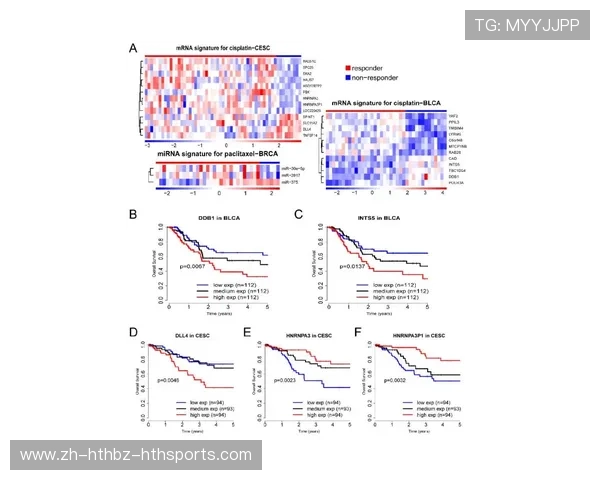 足球伤病轮休机制是否需结合个体恢复进度动态调整